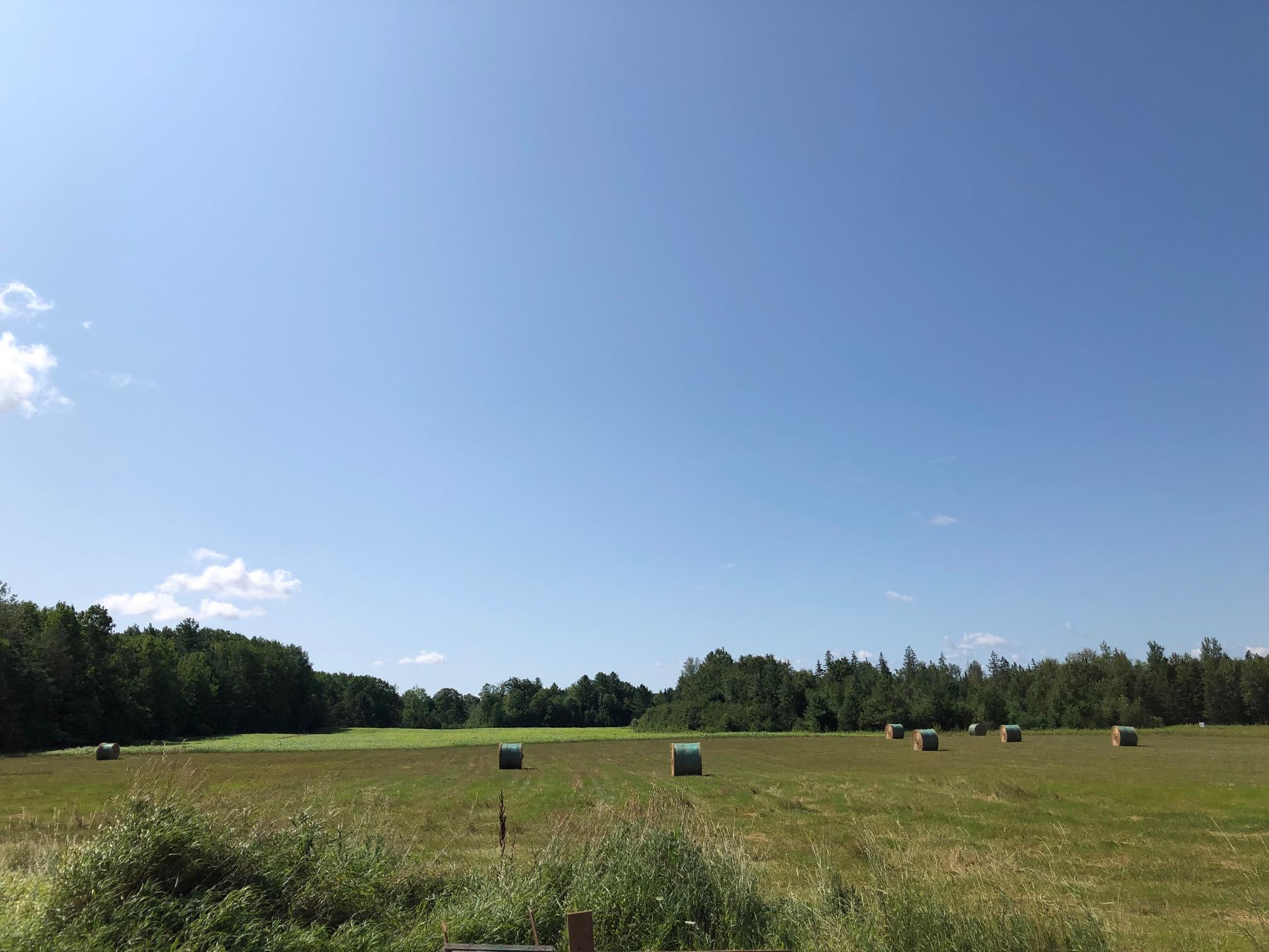 13759 Werth Road Lachine, MI 49753 - Photo 16 of 47 Gallery Image 16