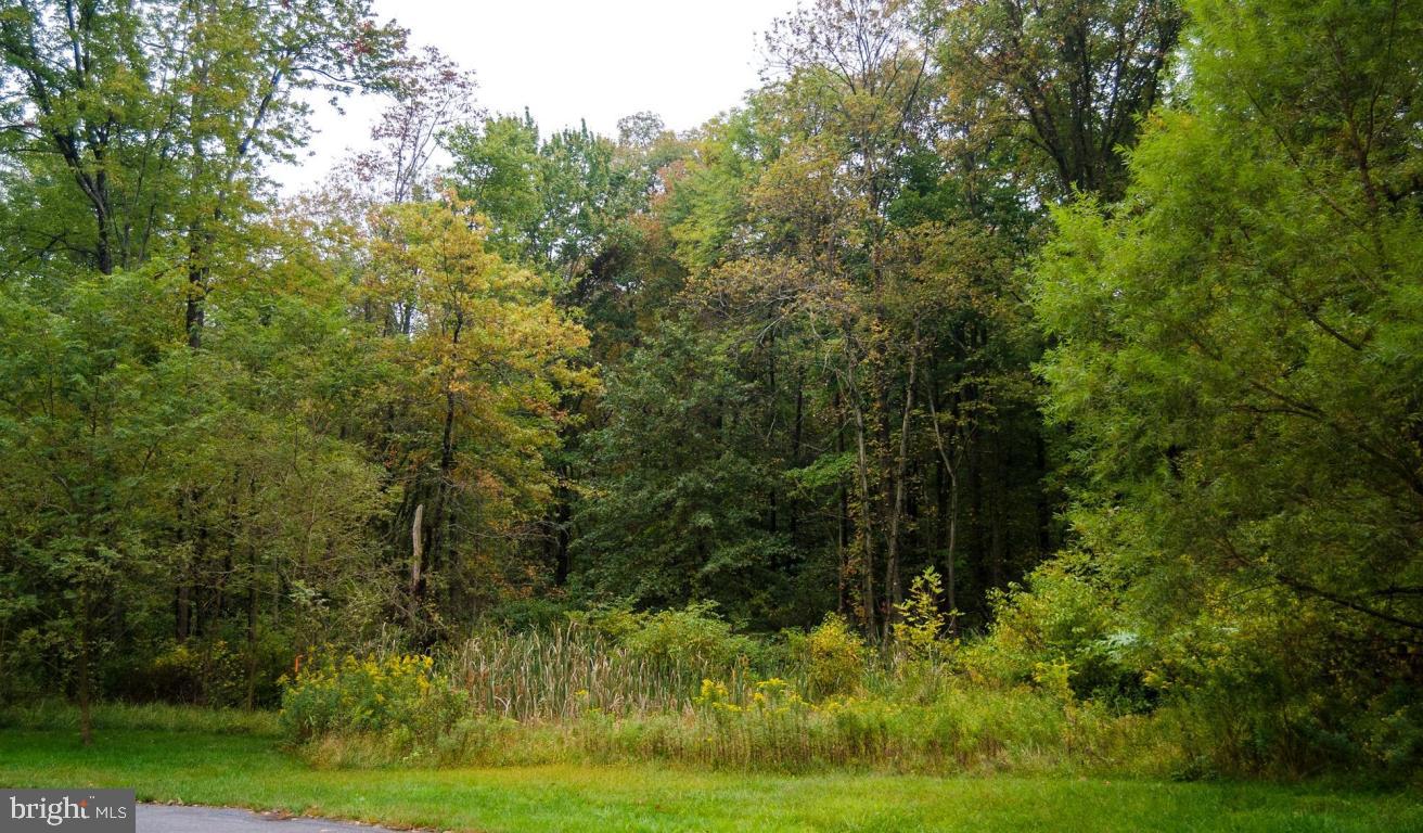 Lot 9 Fox Road Palmyra, PA 17078 - Photo 2 of 3 Gallery Image 2