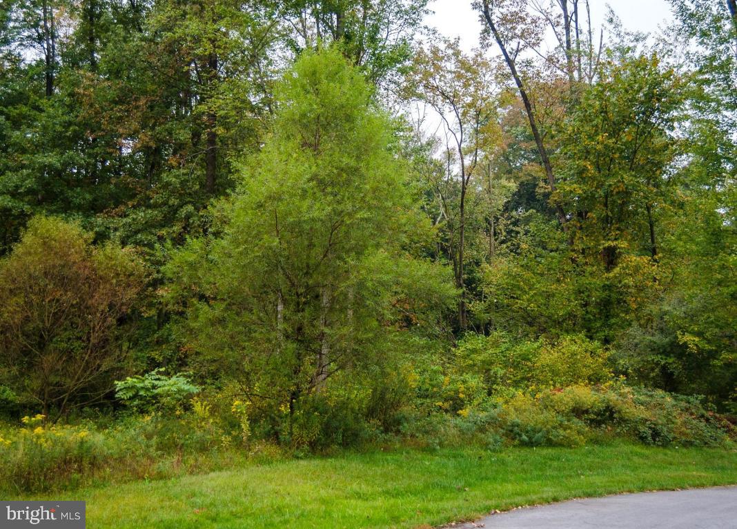 Lot 9 Fox Road Palmyra, PA 17078 - Photo 3 of 3 Gallery Image 3