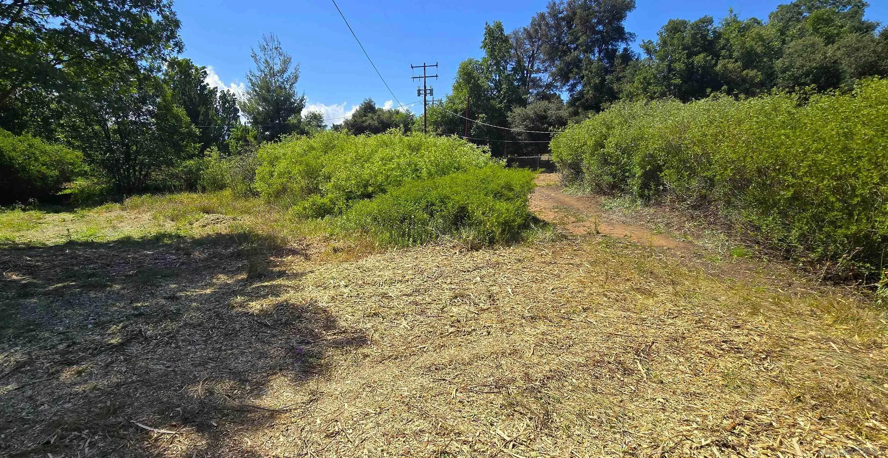 38 Creek Road, Unit 66 13 Julian, CA 92036 - Photo 1 of 16 a view of a yard with plants and a tree