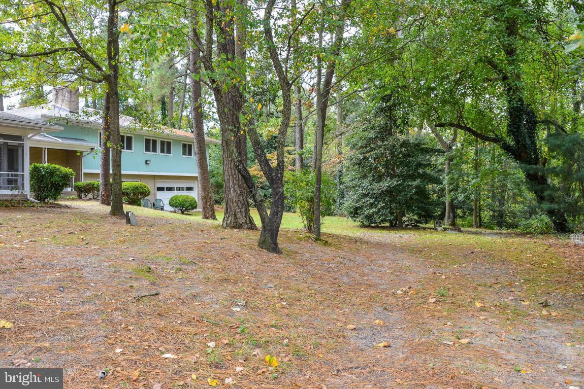 720 Riverside Drive Salisbury, MD 21801 - Photo 5 of 44 Gallery Image 5