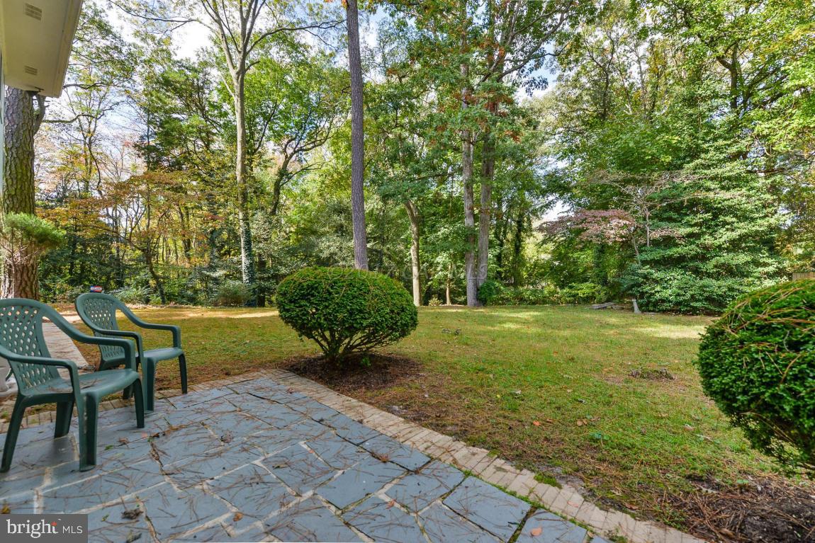 720 Riverside Drive Salisbury, MD 21801 - Photo 9 of 44 Gallery Image 9