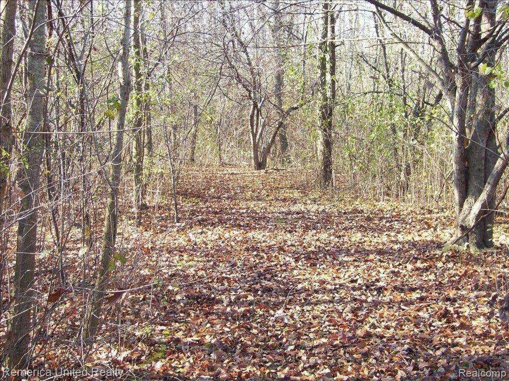 28505 Rollcrest Road Farmington, MI 48334 - Photo 11 of 12 rollcrest 021