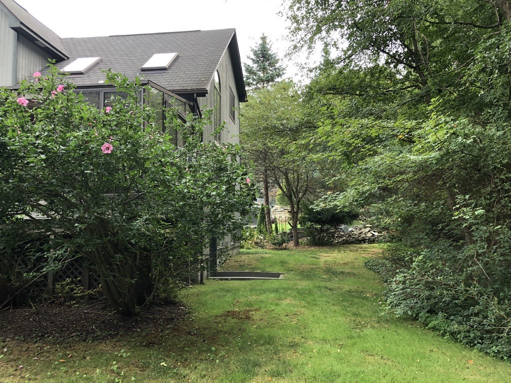 Side Yard