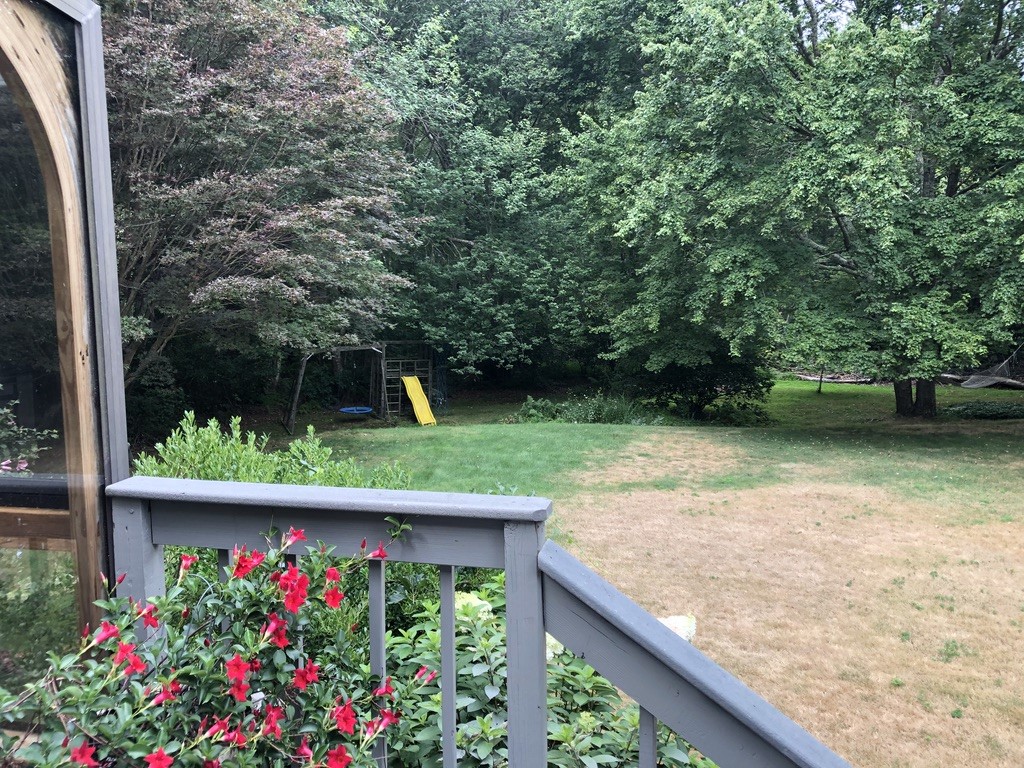 161 Sloop Street Jamestown, RI 02835 - Photo 10 of 50 Back yard