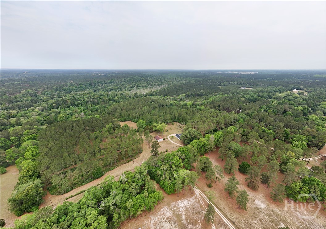 2650 Hadley Ferry Road Cairo, GA 39828 - Photo 70 of 71 Gallery Image 70