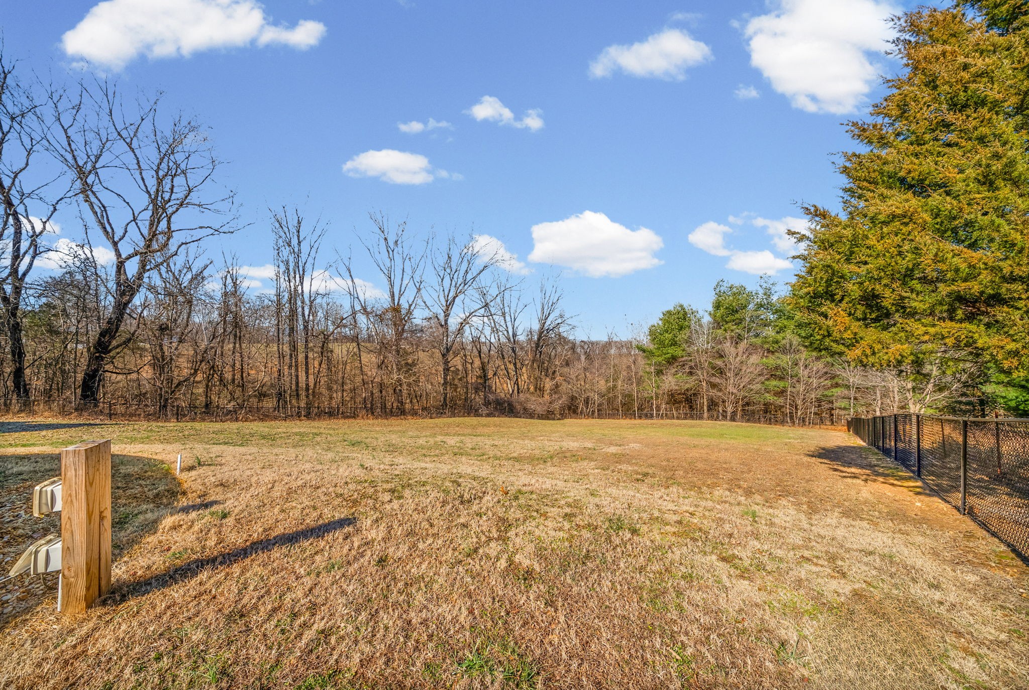 2875 Jarrell Ridge Road Clarksville, TN 37043 - Photo 52 of 73 a view of large trees with wooden fence