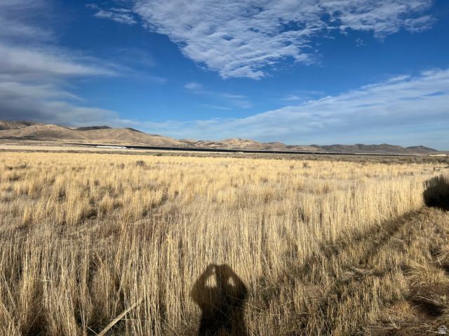 1065 Goshen Canyon Road, Unit 2 Mona, UT 84645 - Photo 4 of 21 View of mountain backdrop featuring rural landscape