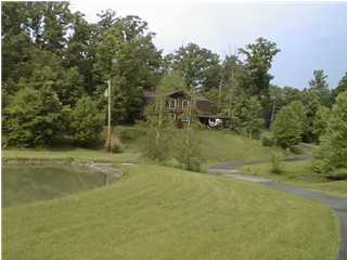 Primary Photo