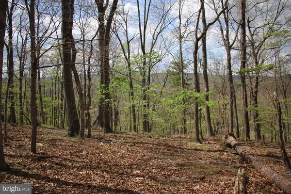 $125,000 | Oak Drive, Winchester, VA 22603