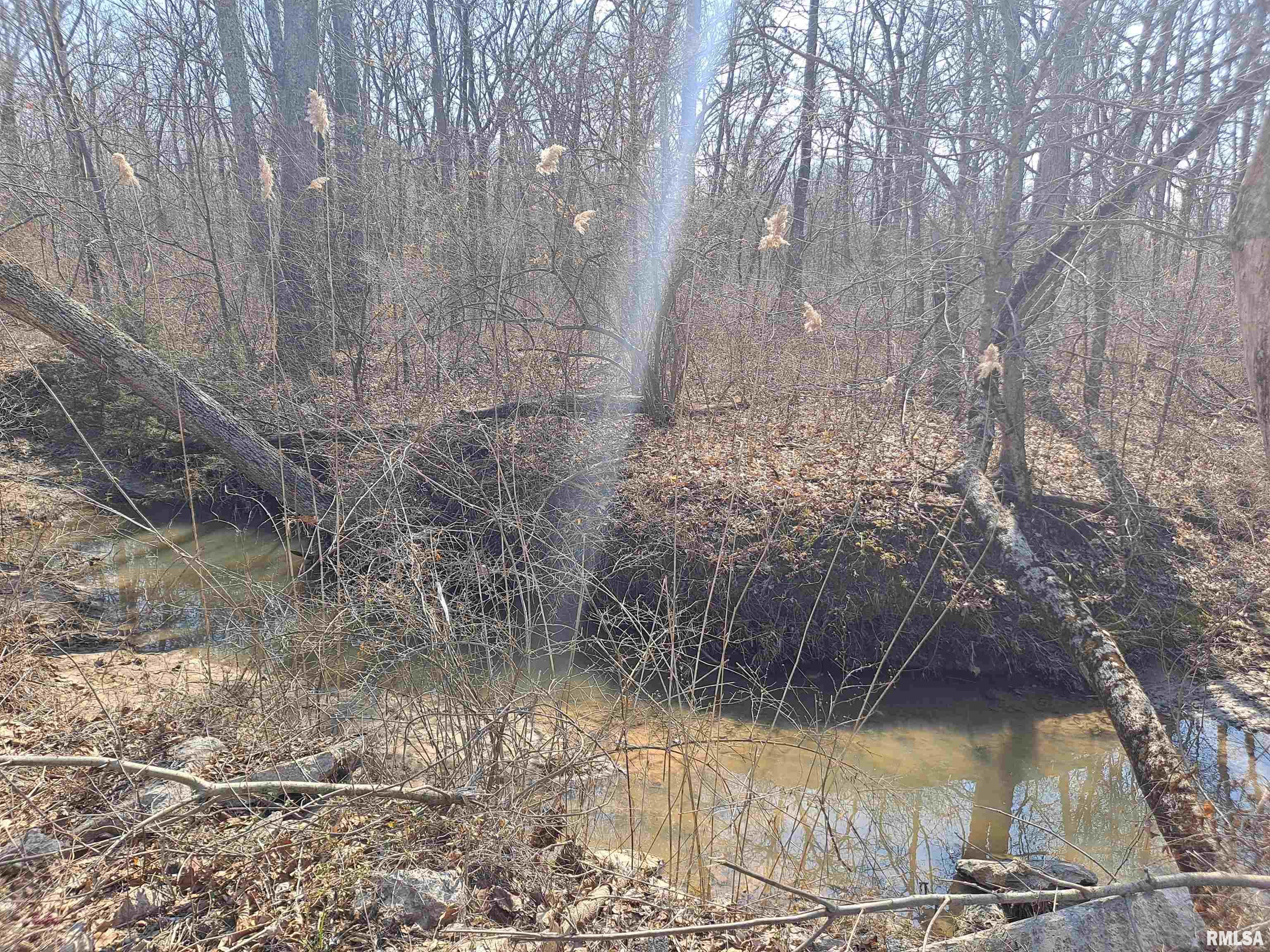 0 East High Road Dix, IL 62830 - Photo 1 of 5