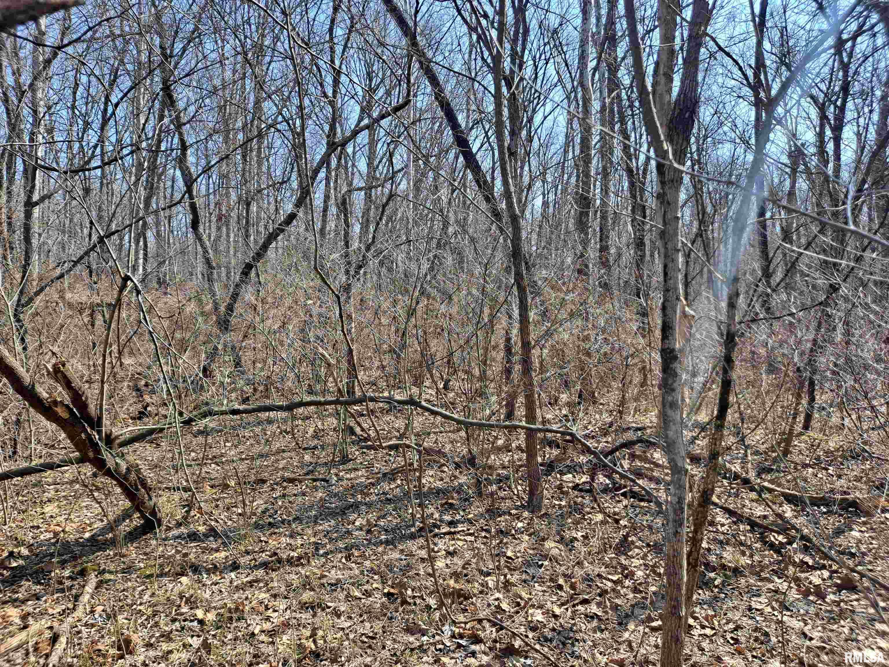 0 East High Road Dix, IL 62830 - Photo 3 of 5