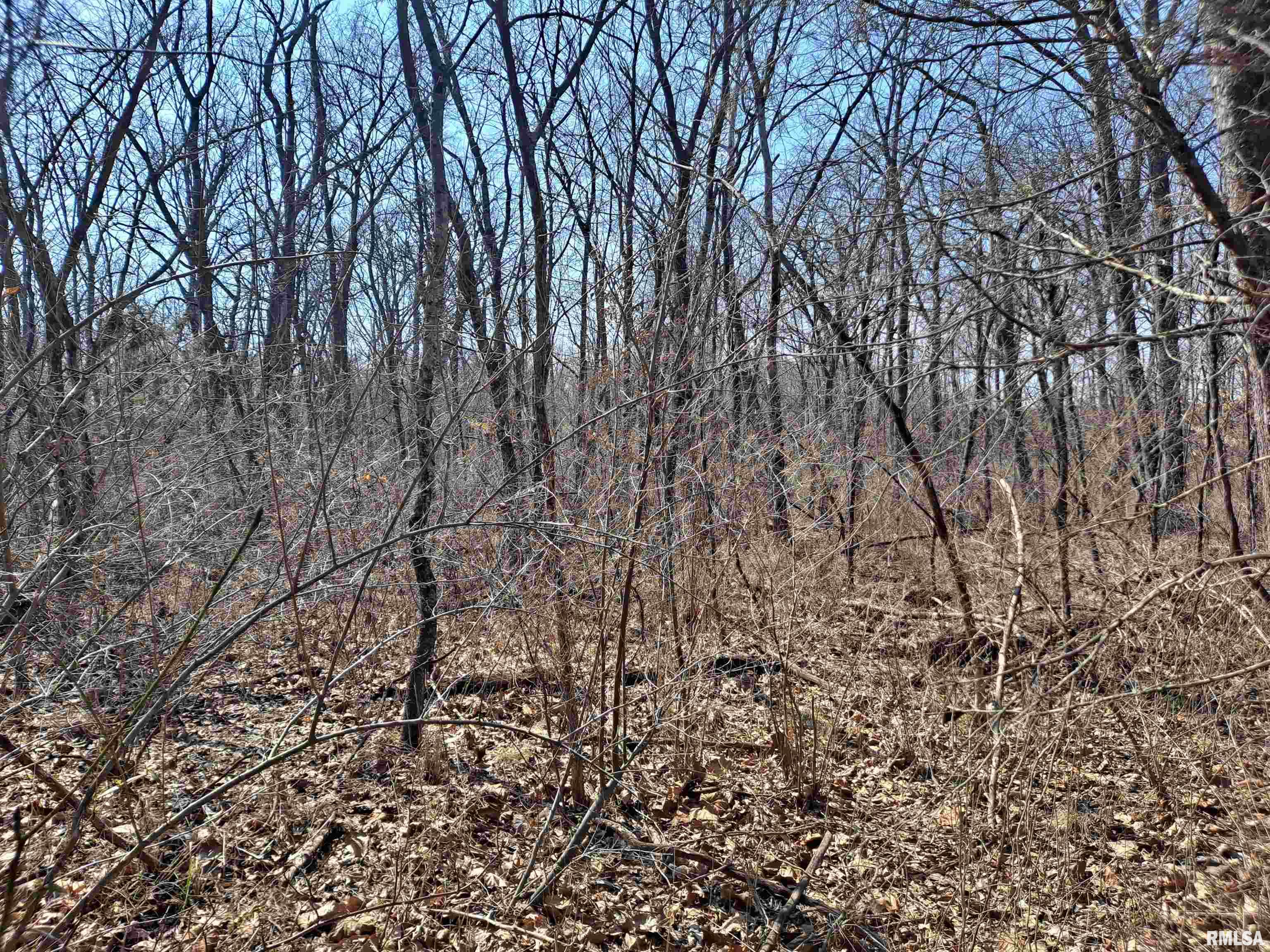 0 East High Road Dix, IL 62830 - Photo 4 of 5
