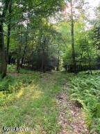 Clarence Fry Road Montoursville, PA 17754 - Photo 10 of 16 Gallery Image 10