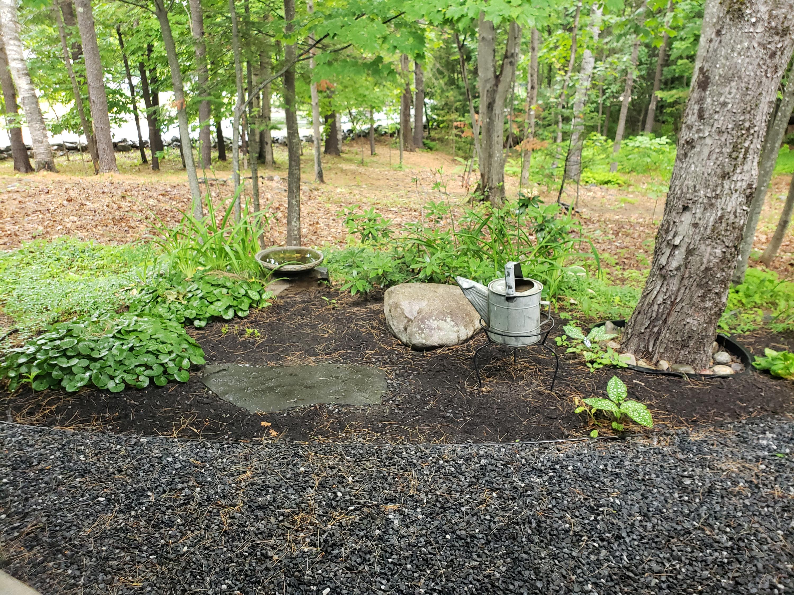 141 Warren Hill Road Jay, ME 04239 - Photo 84 of 101 20210622_133241