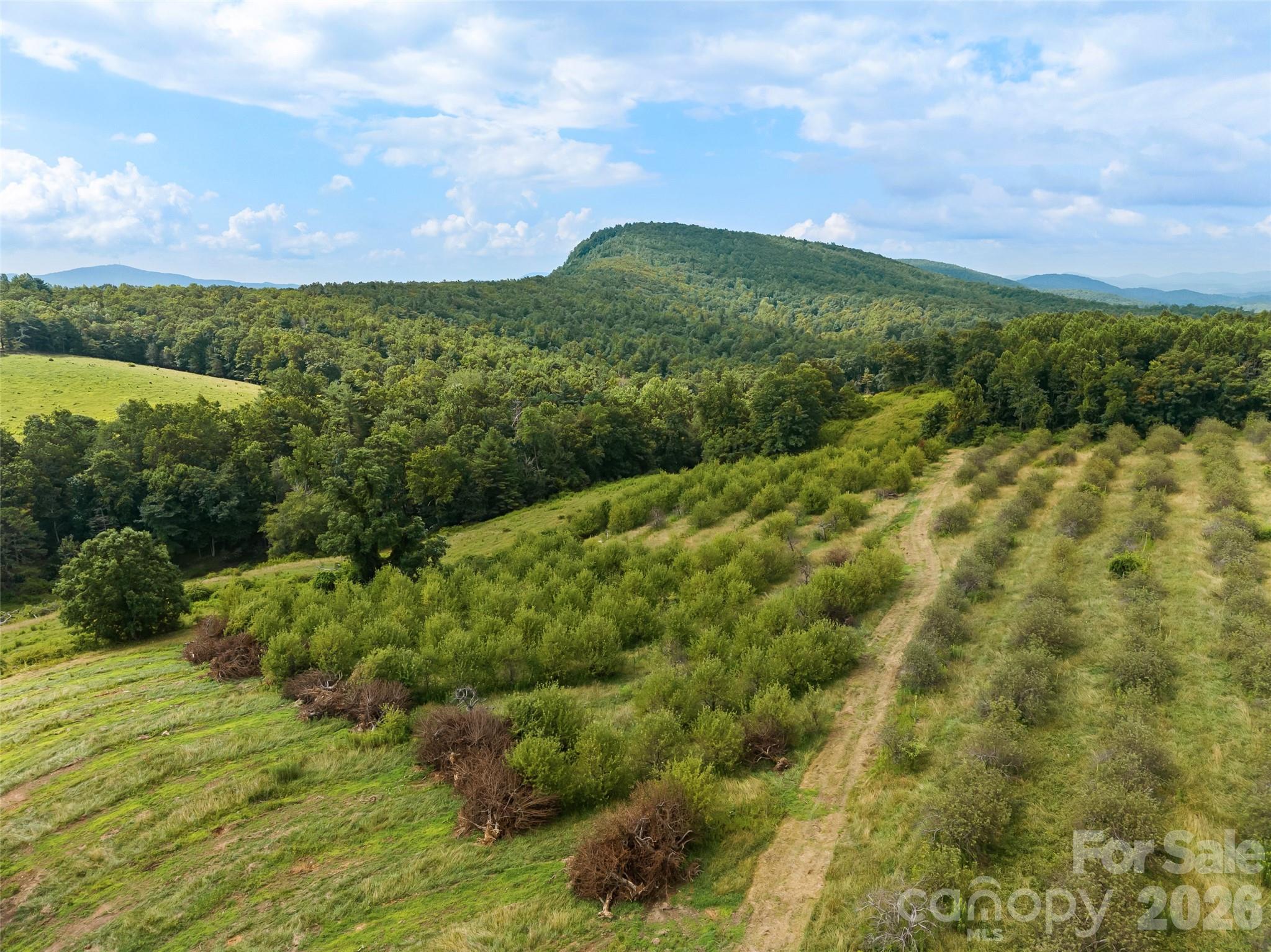 0 Summer Road, Unit 5 Hendersonville, NC 28792 - Photo 3 of 20