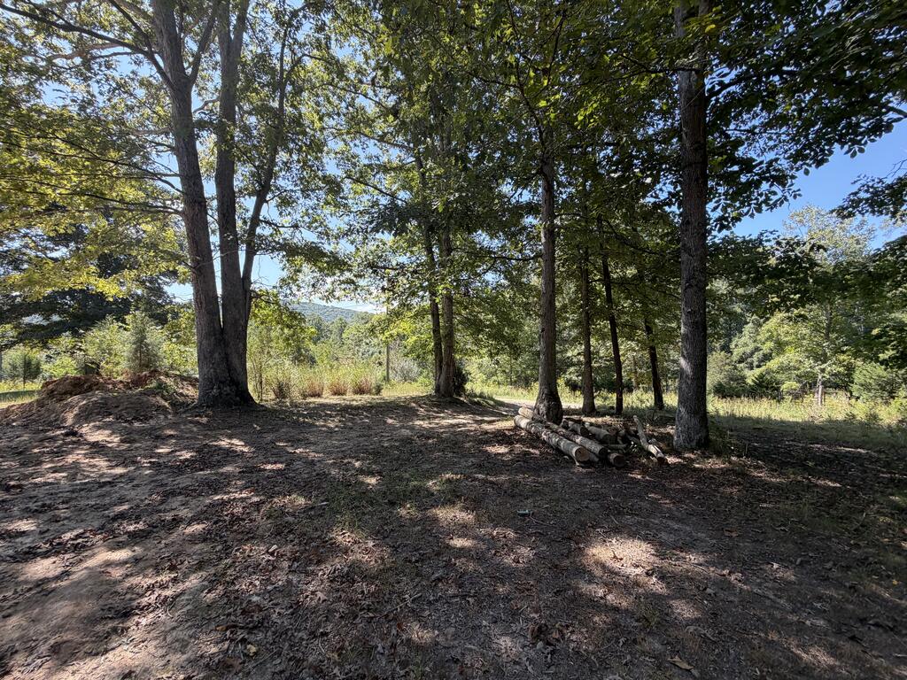 2443 Bruce Allen Road Hinton, WV 25951 - Photo 72 of 75 Gallery Image 72