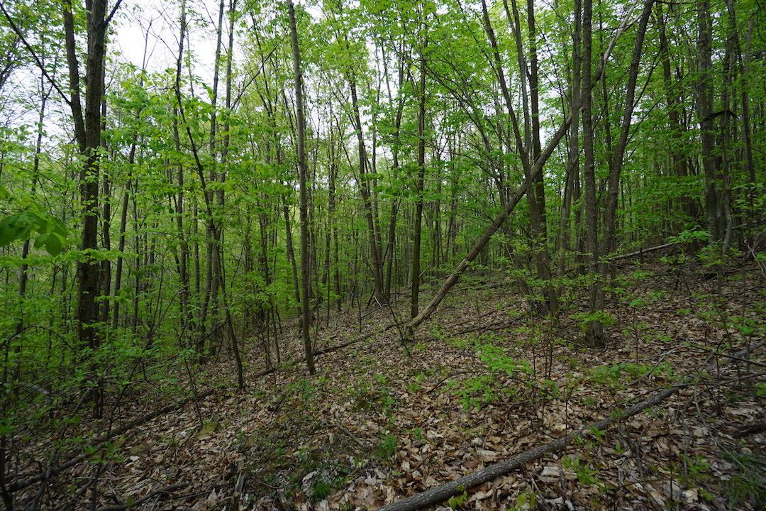 0 Laurel Ridge Road Piketon, OH 45661 - Photo 13 of 18
