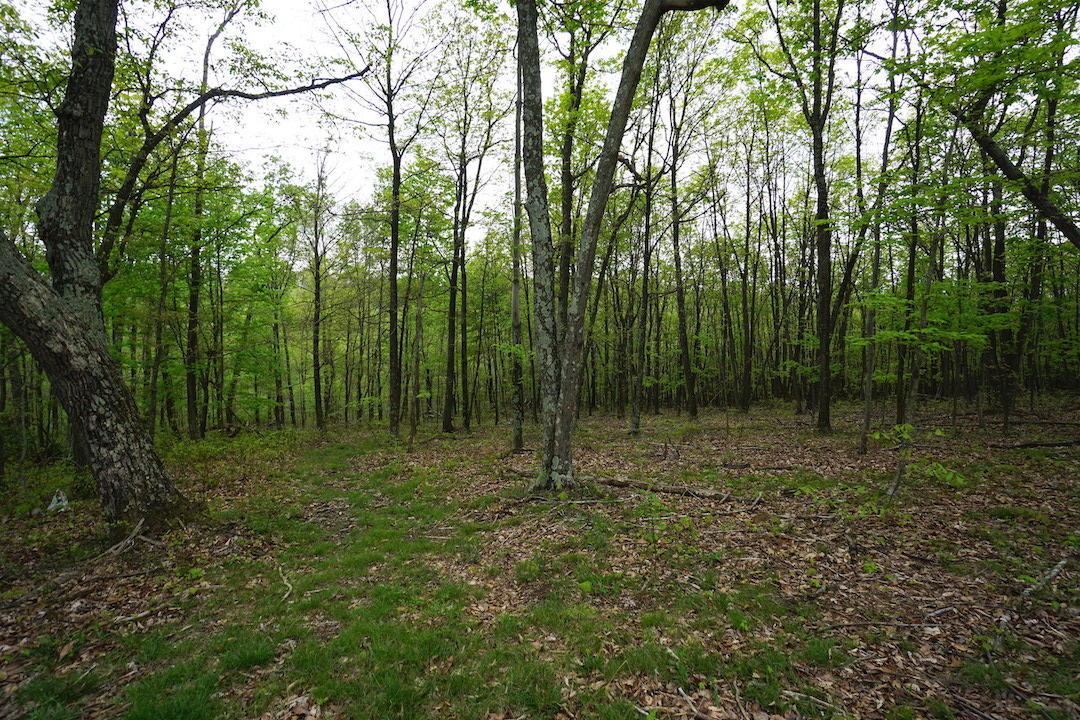 0 Laurel Ridge Road Piketon, OH 45661 - Photo 14 of 18