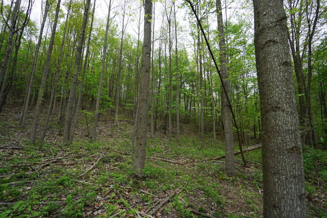 0 Laurel Ridge Road Piketon, OH 45661 - Photo 15 of 18