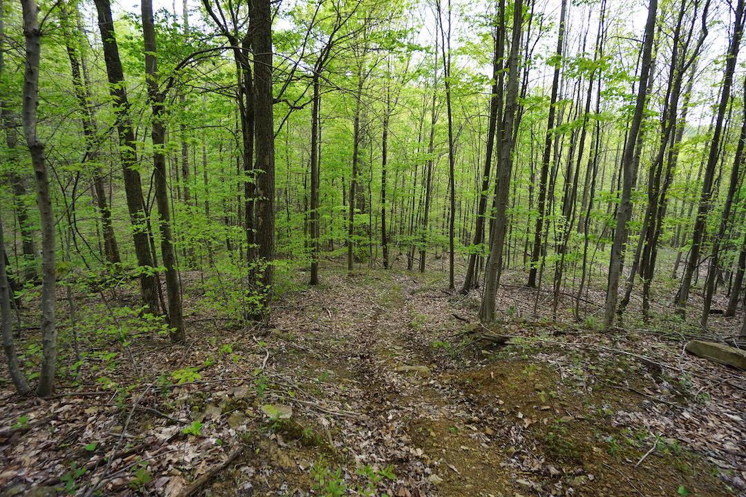 0 Laurel Ridge Road Piketon, OH 45661 - Photo 16 of 18