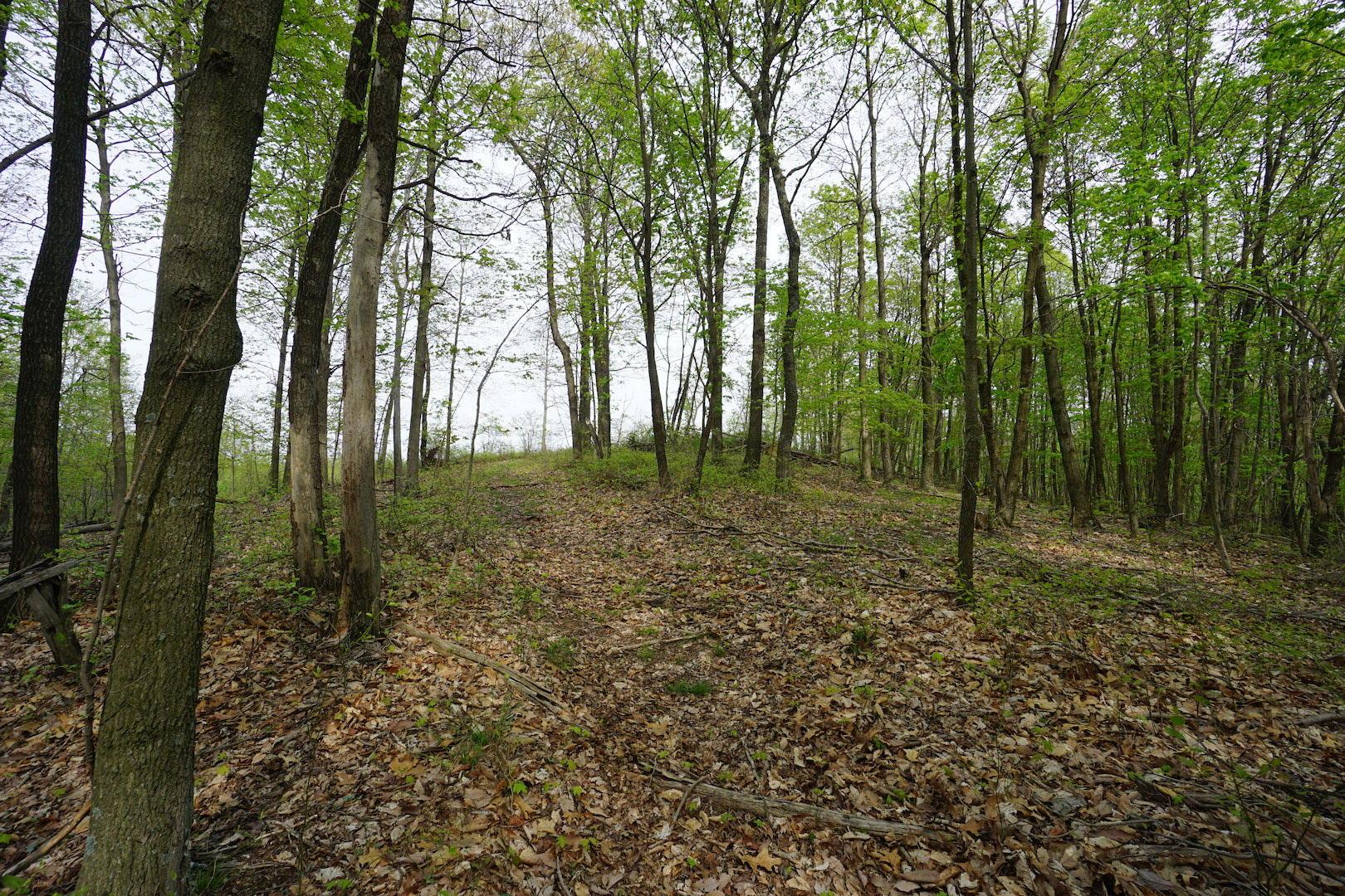 0 Laurel Ridge Road Piketon, OH 45661 - Photo 4 of 18