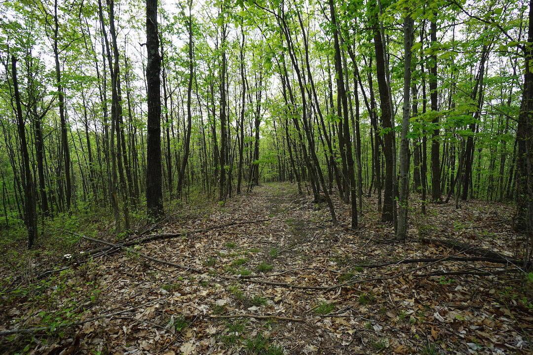 0 Laurel Ridge Road Piketon, OH 45661 - Photo 7 of 18