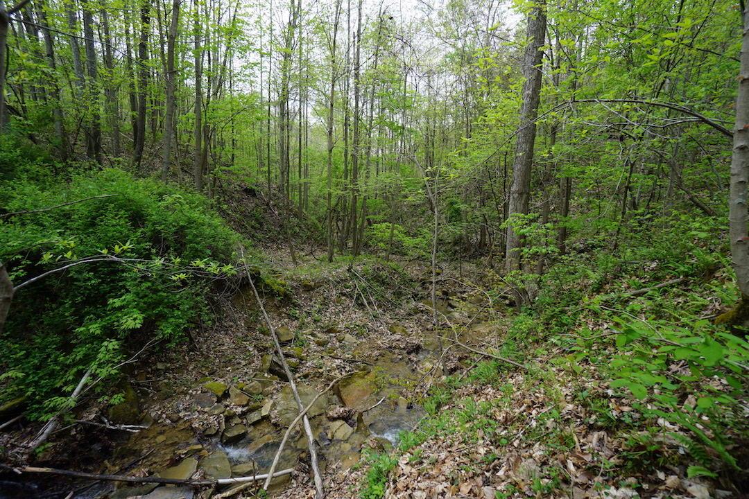 0 Laurel Ridge Road Piketon, OH 45661 - Photo 8 of 18
