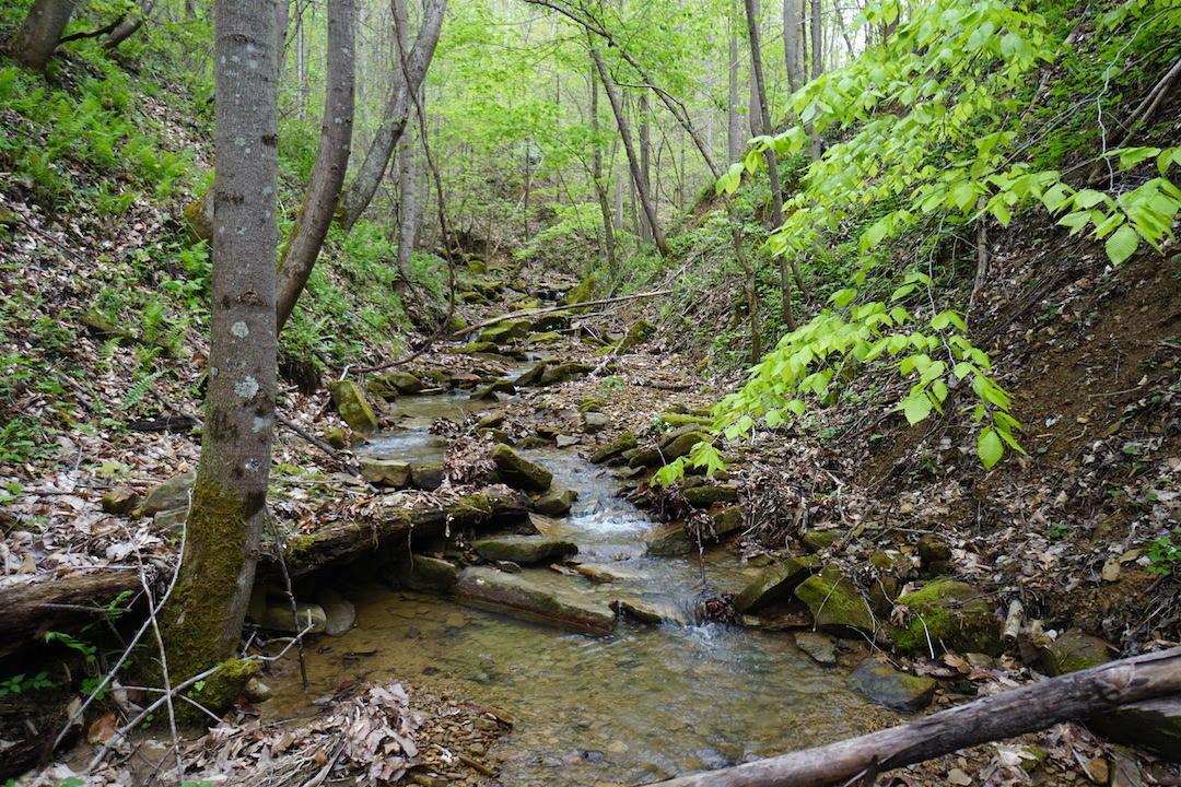 0 Laurel Ridge Road Piketon, OH 45661 - Photo 10 of 18