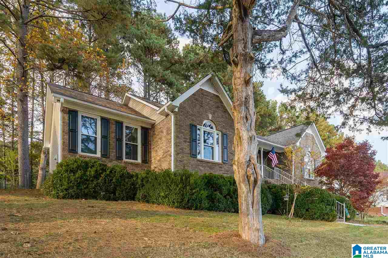 6250 Old Springville Road Pinson, AL 35126 - Photo 3 of 48