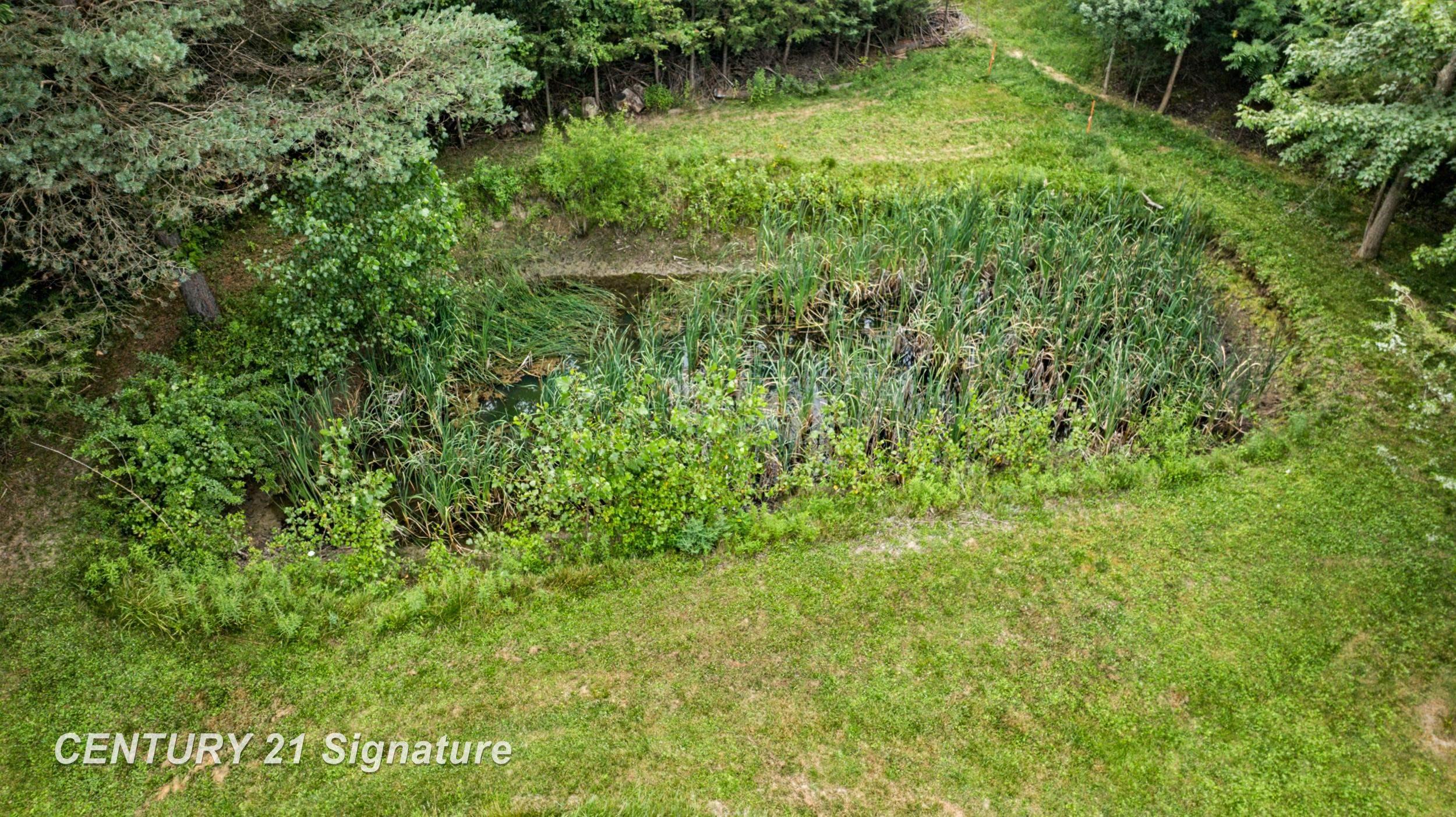 4386 Elms Road Flushing, MI 48433 - Photo 53 of 62