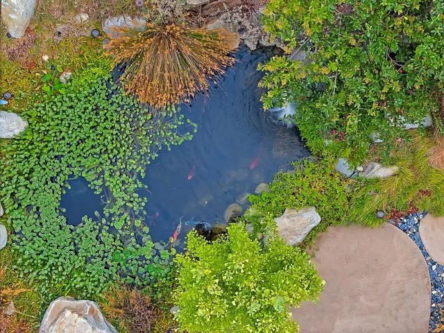 $1,224,999 | 3497 Lambeth Drive, Rescue, CA 95672