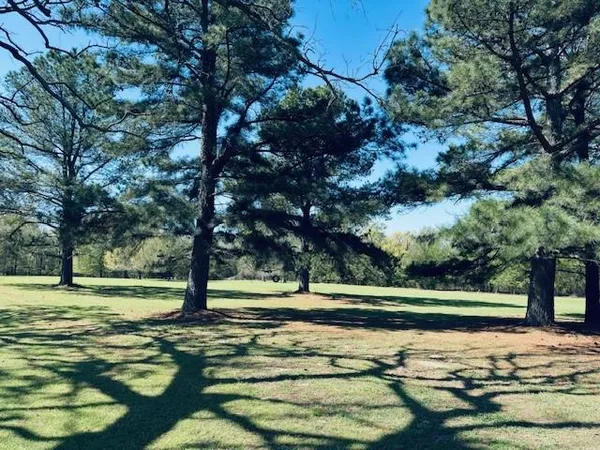$60,000 | 3357 County Road 3357, Emory, TX 75440