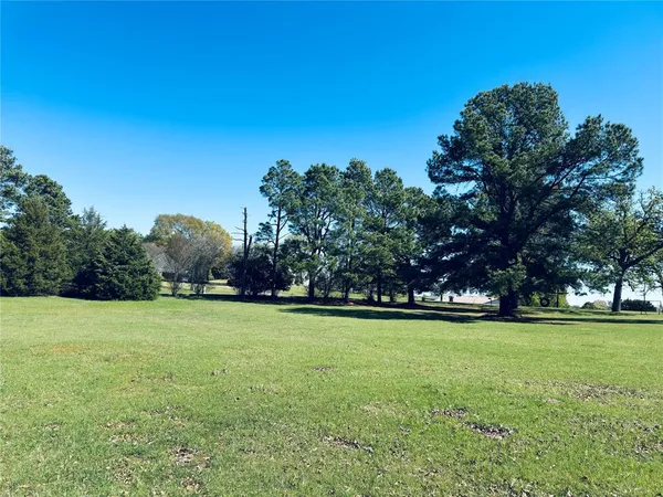 a view of a green field with trees in the background