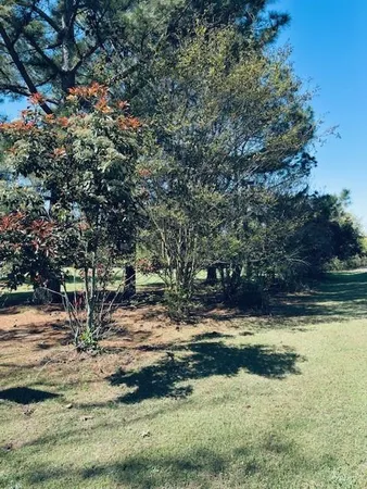 a view of a yard with wooden fence