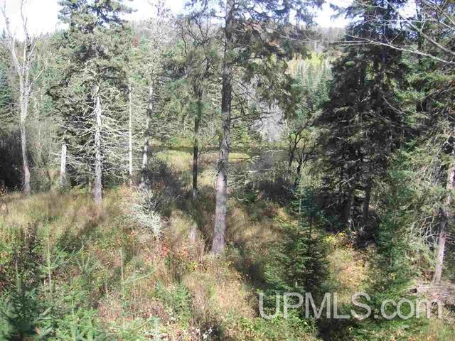 Tbd Tbd Co Road Michigamme, MI 49861 - Photo 9 of 18