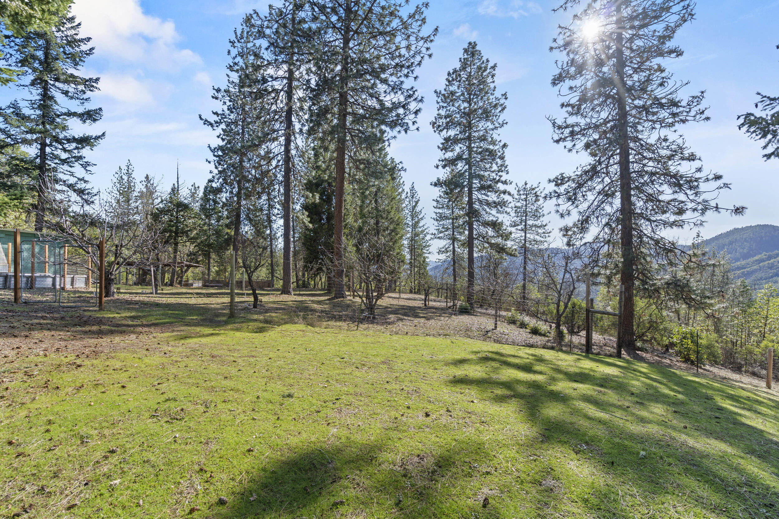 11376 Ramsey Road Gold Hill, OR 97525 - Photo 60 of 64 13_11376 ramsey road - 13