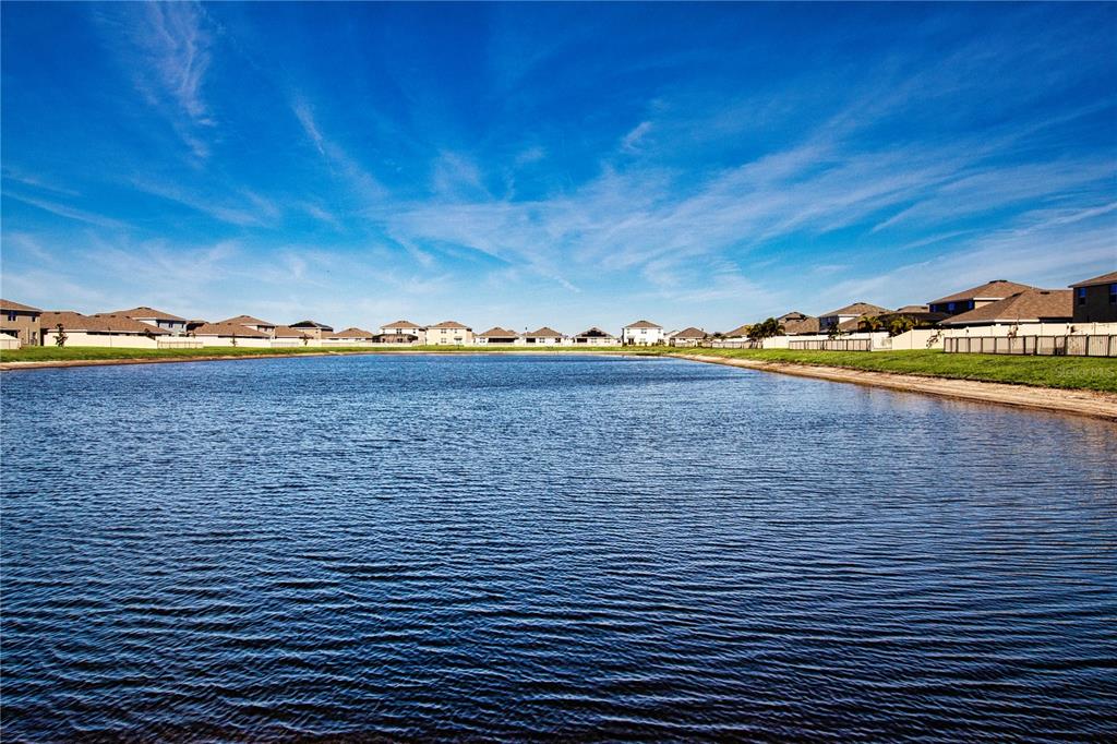 5456 Logan Cave Avenue Wimauma, FL 33598 - Photo 51 of 57