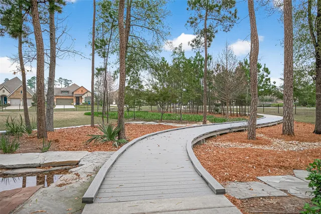 a view of a park with large trees