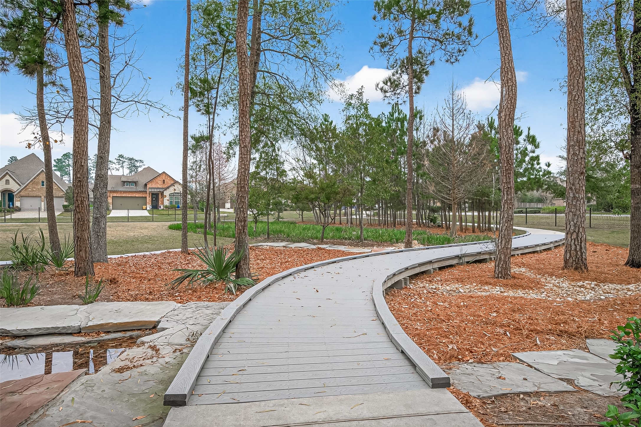 218 Skybranch Court Conroe, TX 77304 - Photo 36 of 50 a view of a park with large trees