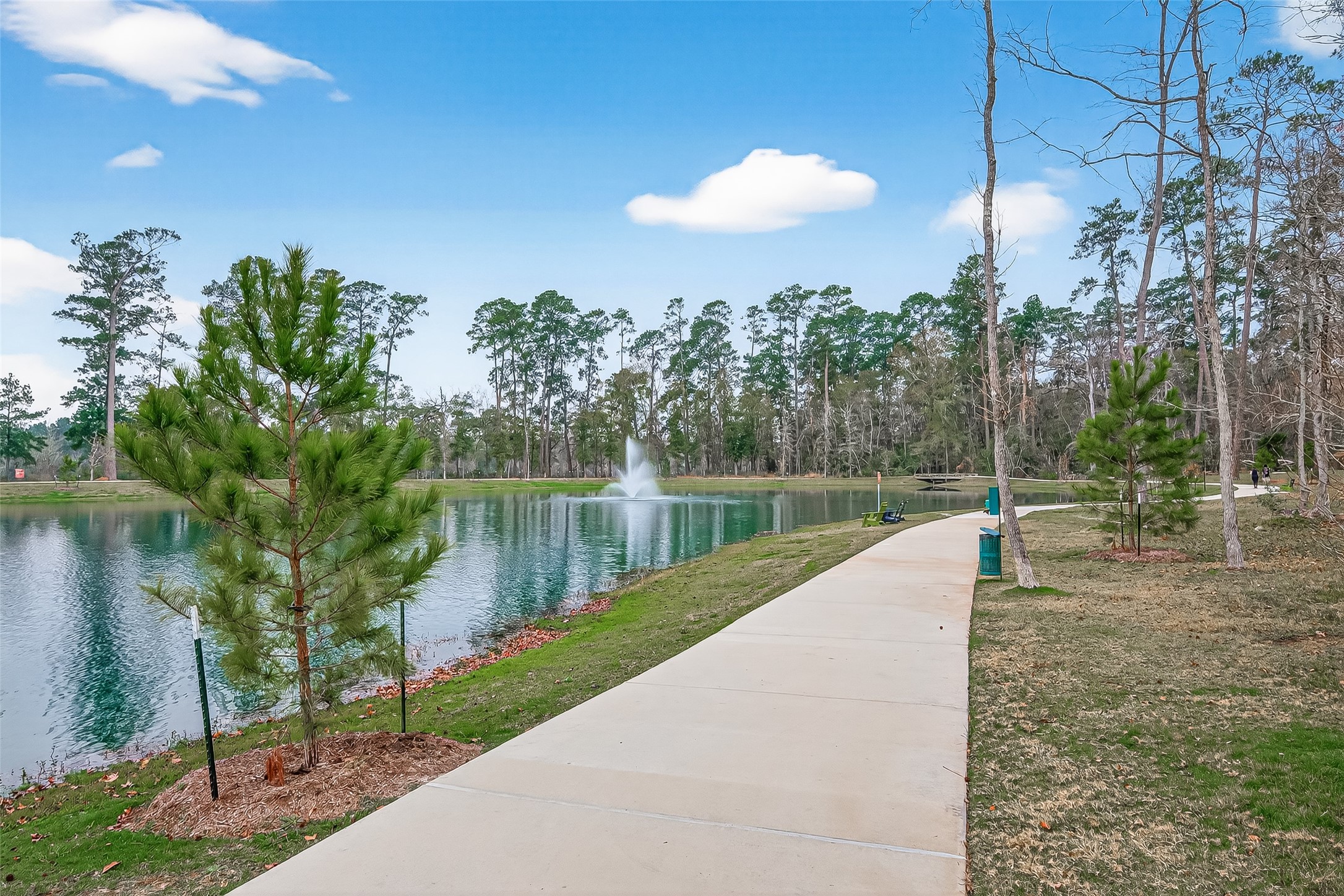 218 Skybranch Court Conroe, TX 77304 - Photo 39 of 50 a view of a lake