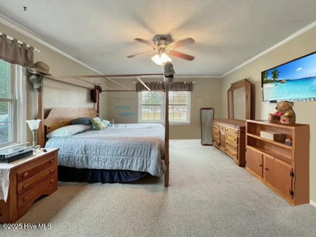 140 Cowpen Neck Road Edenton, NC 27932 - Photo 13 of 23 Primary Bedroom