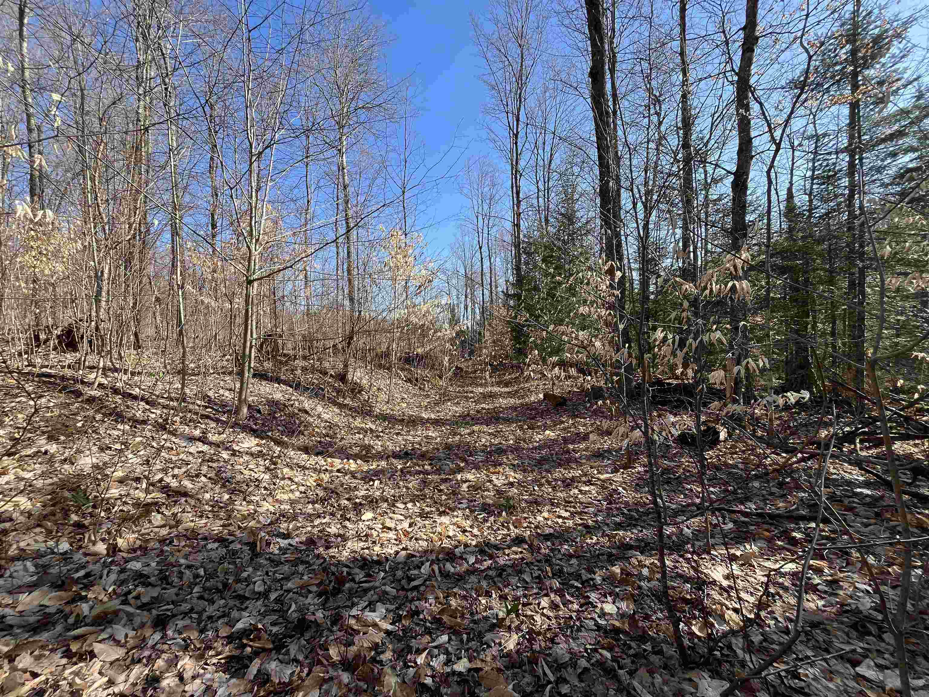 0 Valley Road, Unit LOT: 1A Alanson, MI 49706 - Photo 12 of 18