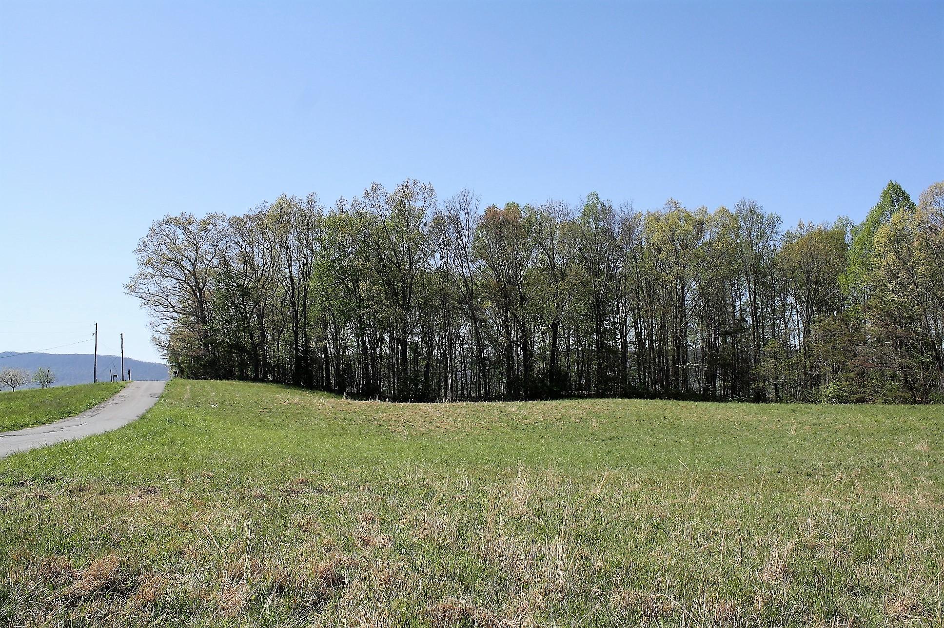 887 Leach Medley Road Speedwell, TN 37870 - Photo 1 of 9 leach medley 16