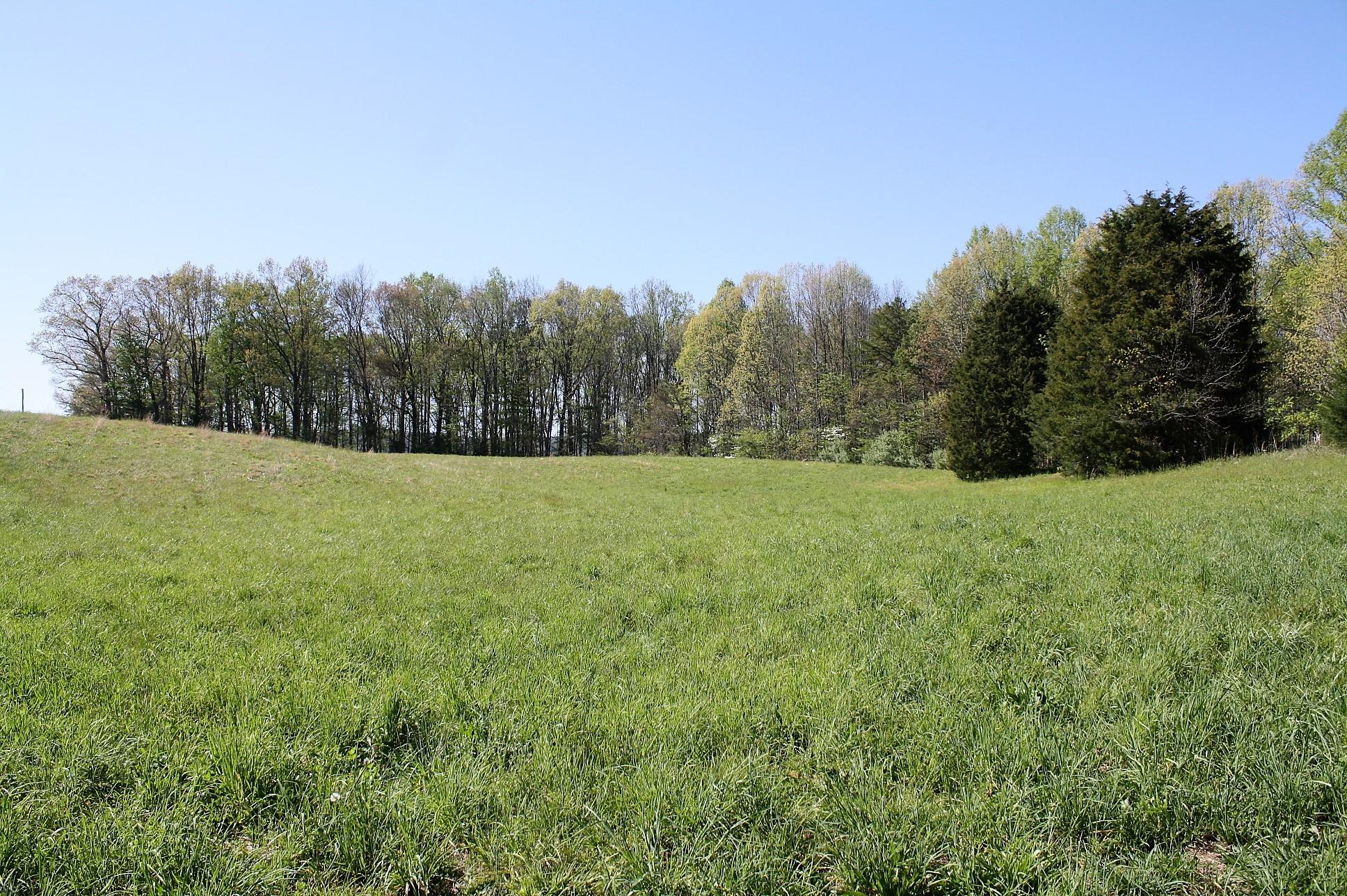 887 Leach Medley Road Speedwell, TN 37870 - Photo 3 of 9 leach medley 11