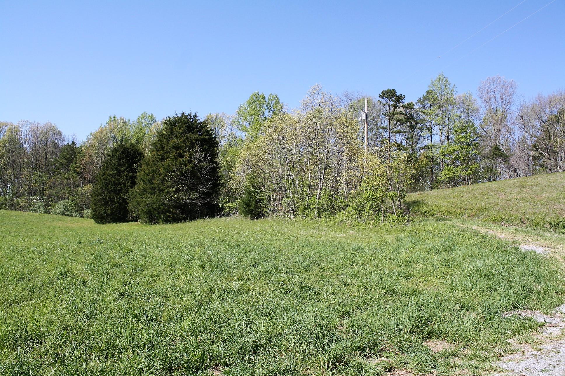 887 Leach Medley Road Speedwell, TN 37870 - Photo 5 of 9 leach medley 10