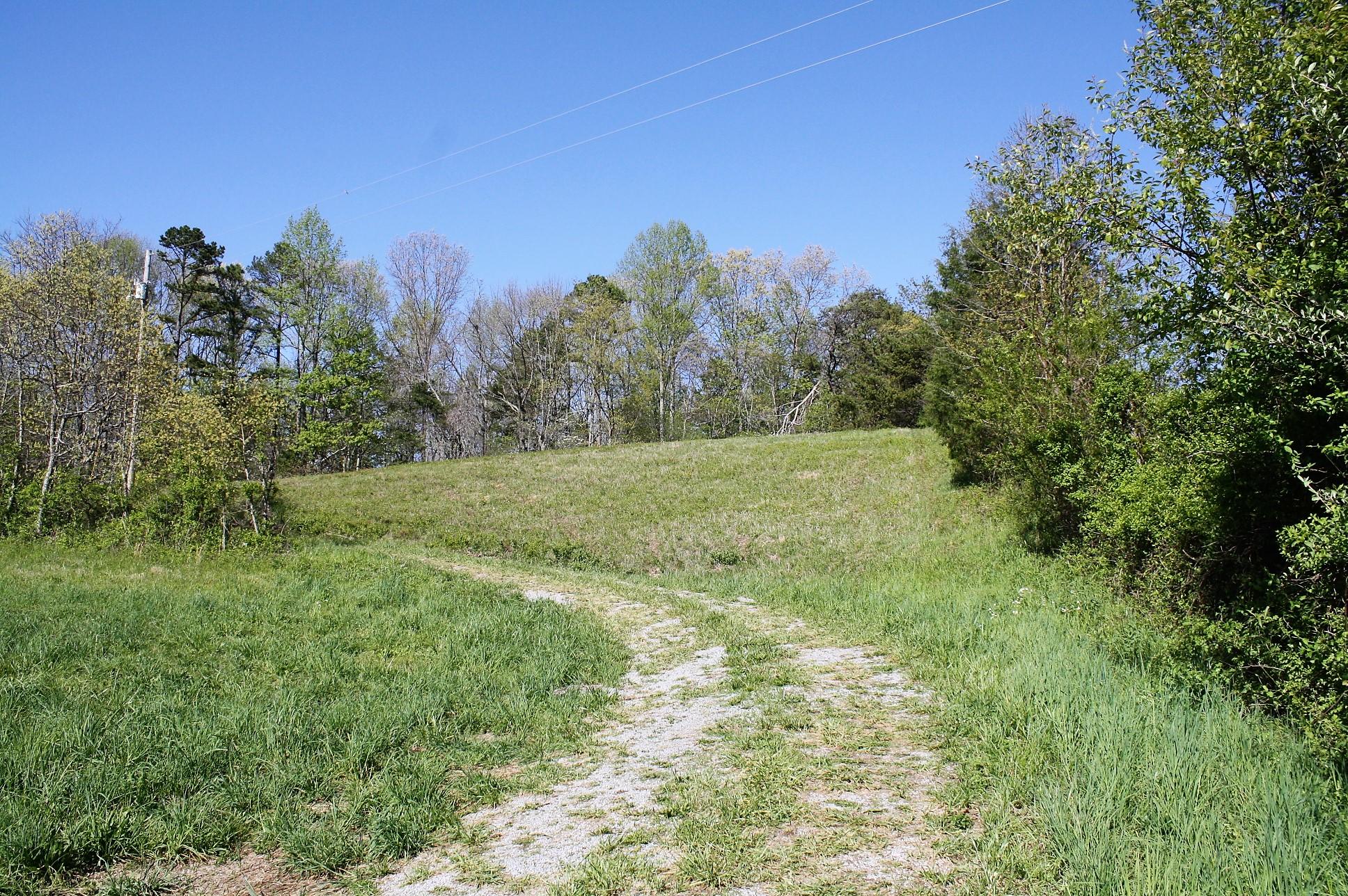 887 Leach Medley Road Speedwell, TN 37870 - Photo 6 of 9 leach medley 12