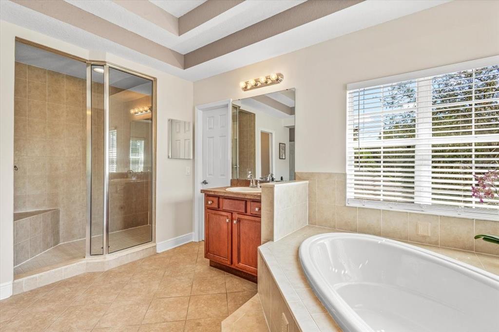 5120 Tari Stream Way Brandon, FL 33511 - Photo 22 of 35 a spacious bathroom with a tub shower and sink