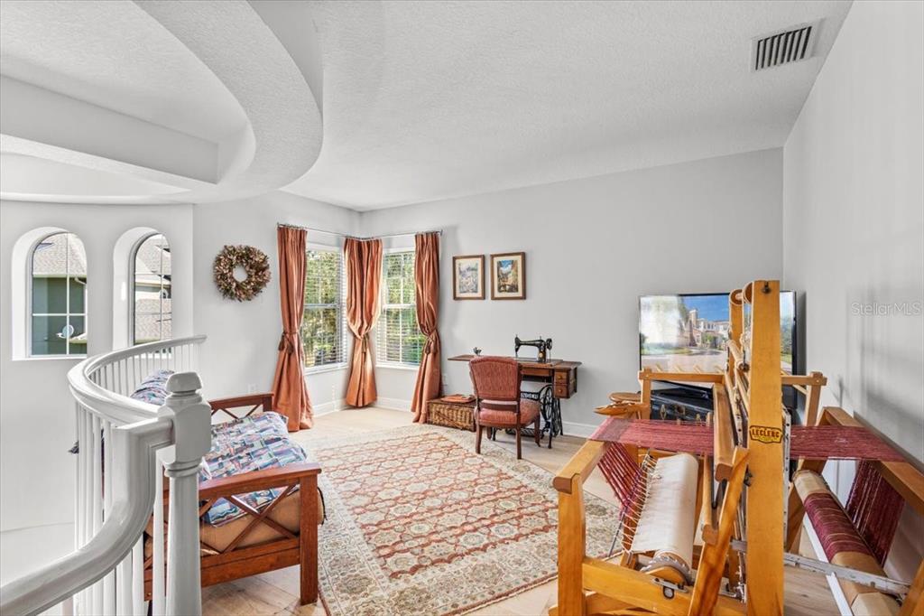 5120 Tari Stream Way Brandon, FL 33511 - Photo 24 of 35 a living room with furniture and a piano