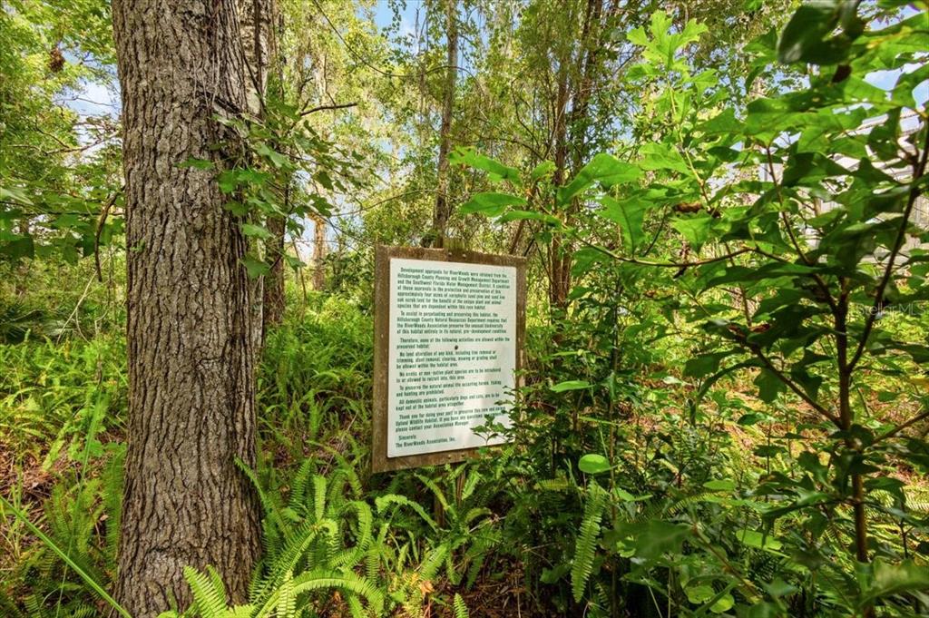 5120 Tari Stream Way Brandon, FL 33511 - Photo 30 of 35 a view of outdoor space and a yard